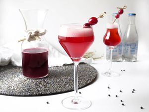 20150915-CranberryBlackPepperShrubCocktail-cocktails-ElanaLepkowski.jpg