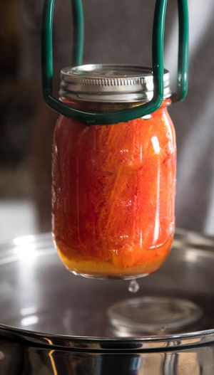 用钳子把一罐加工过的西红柿从水浴盆里拿出来。