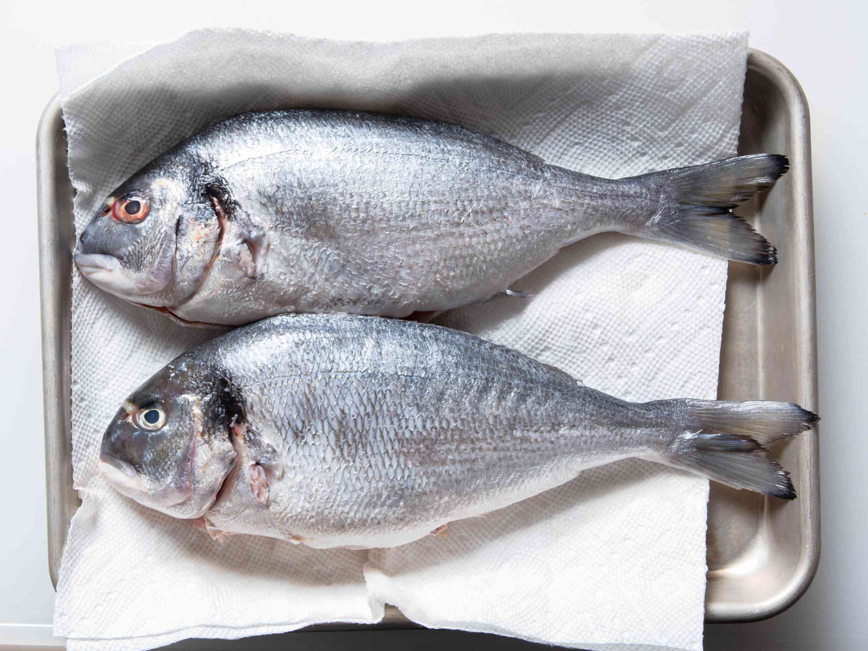 两条新鲜的整鱼放在托盘上的纸巾上。他们的皮肤闪闪发光，眼睛丰满，这是新鲜的两个视觉标志。