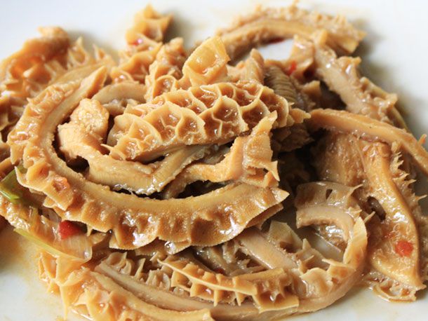 Close-up of stewed tripe on a white plate.