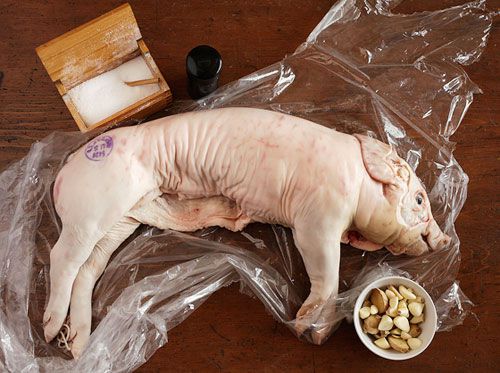A raw suckling pig on a plastic wrap with salt and aromatics on the side.