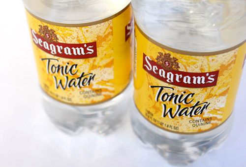 20110419 seagrams.jpg