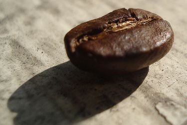20101013 coffeebean.jpg
