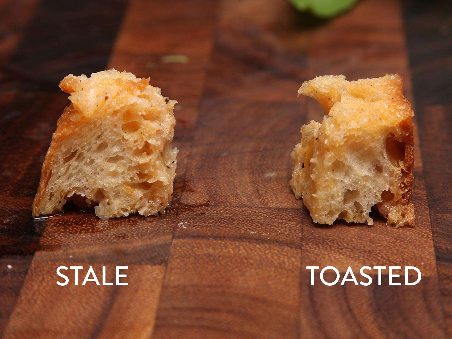 对比两块硬皮面包，一块不新鲜，一块烤过，显示它们吸收水分的方式不同