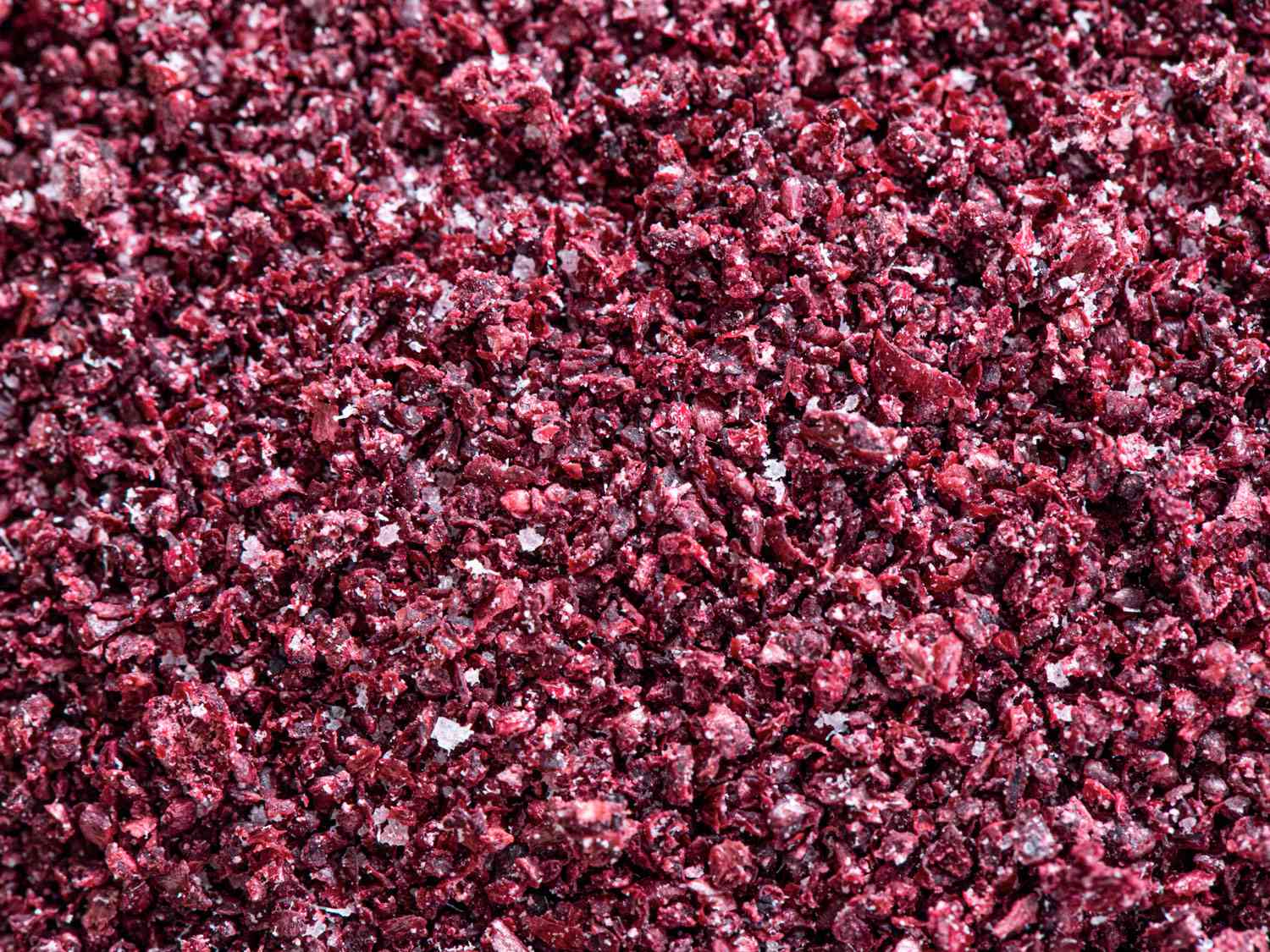 Macro view of sumac