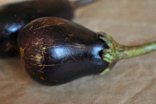 20111106 - 178354 -全部- eggplant.jpg
