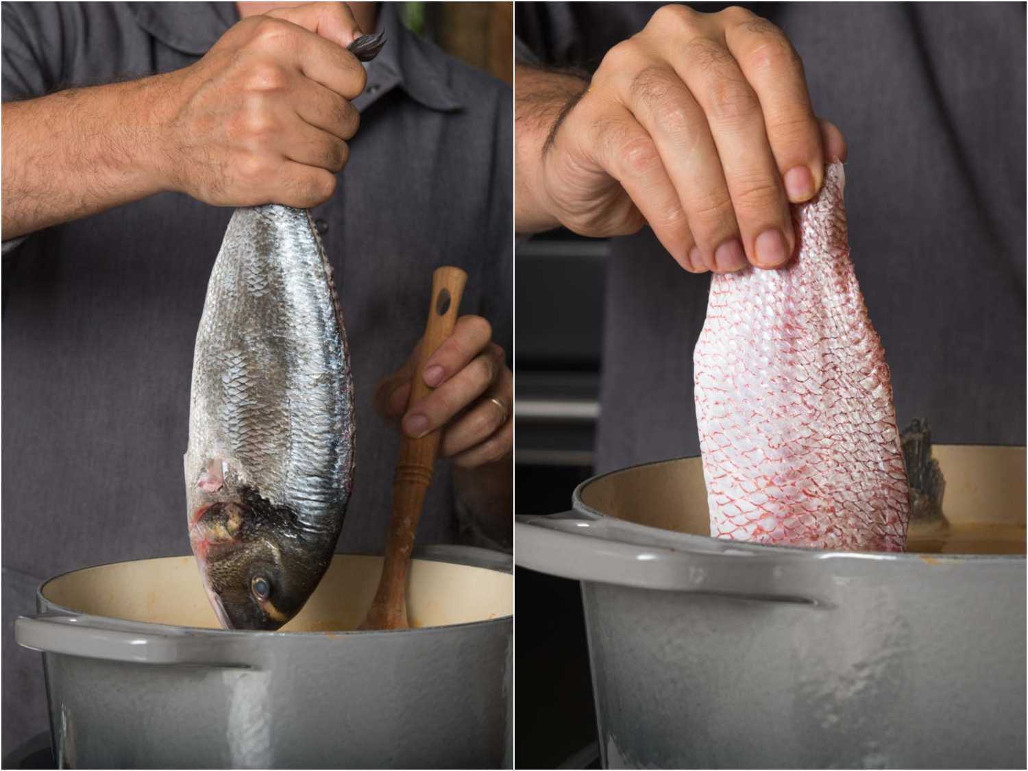 Adding fish fillet into pot of bouillabaisse.