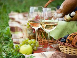 20140302 picnicwine.jpg