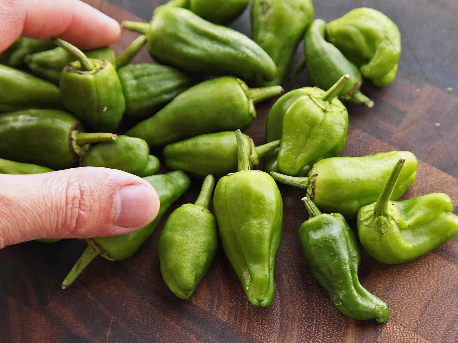 A hand picking up a fresh Padrón pepper.