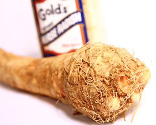 Unpeeled horseradish root against white background. A bottle of prepared horseradish is visible in the background as well.