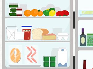 Graphic illustration of the main, central shelves of a refrigerator with various items