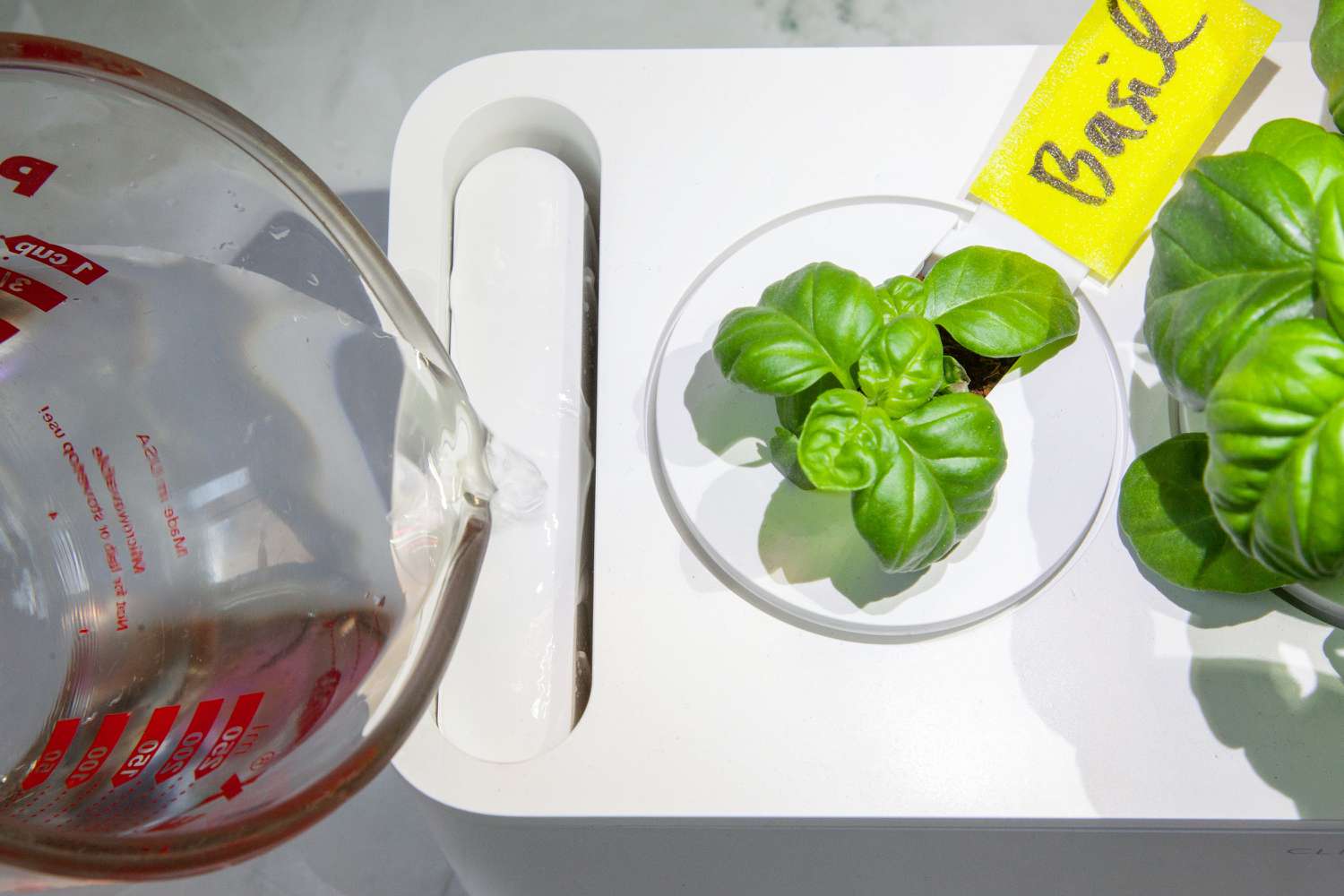 a measuring cup pouring water into an indoor herb garden