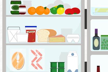 Graphic illustration of the main, central shelves of a refrigerator with various items