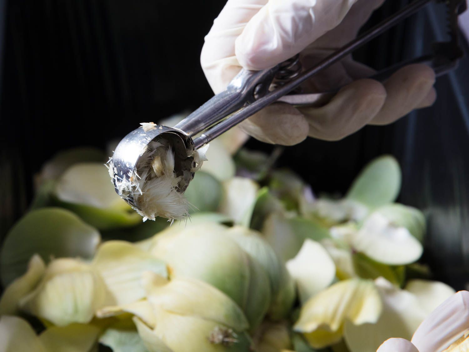 A gloved hand using a small cookie scoop to dump out the furry choke from an artichoke, with discarded artichoke leaves visible in the background.