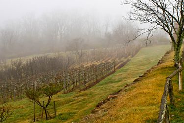 20141007-best-southern-cider-jefferson-orchard-christopher-lehault.jpg