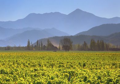 cloudy-bay-marlborough.jpg