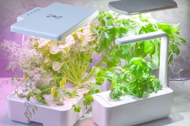 three indoor herb gardens growing herbs