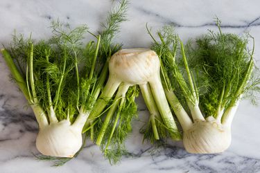 Three fennel bulbs on a marble surface