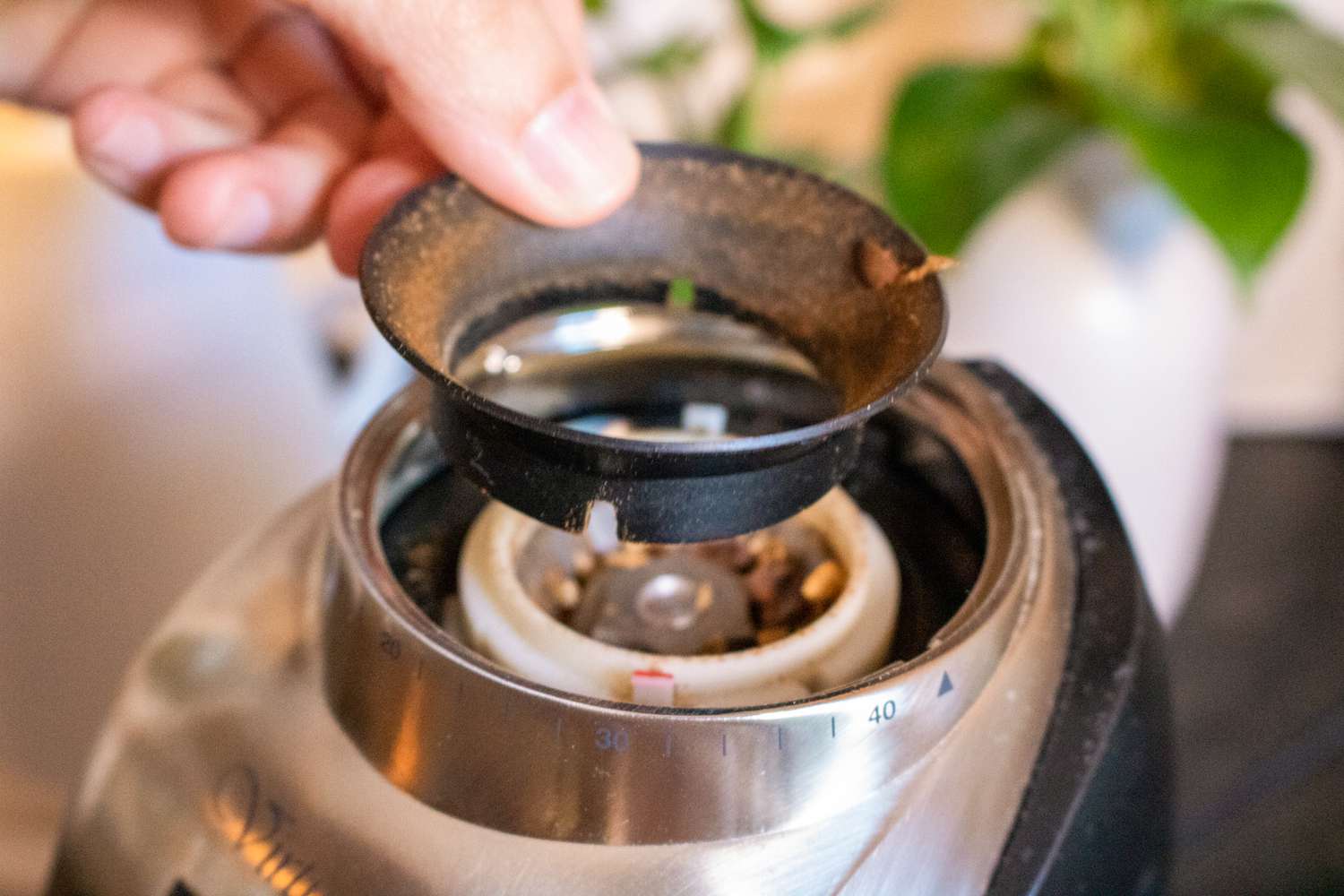 Clean your coffee Grinder