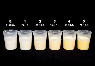 一排6夸脱大小的熟食杯，每一个盛着奶油和不同数量的蛋黄，从0个到5个不等。蛋黄越多，里面的液体越黄。