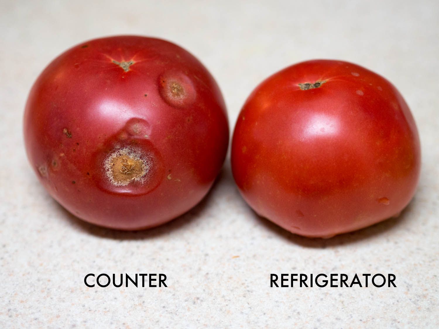 A tomato that has been stored on the countertop for four days and has started to rot, next to a tomato stored in the refrigerator for the same amount of time, which is still unspoiled