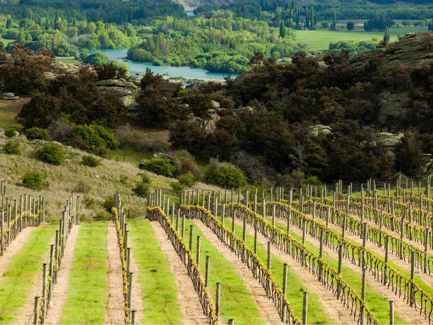 central-otago-cloudy-bay.jpg