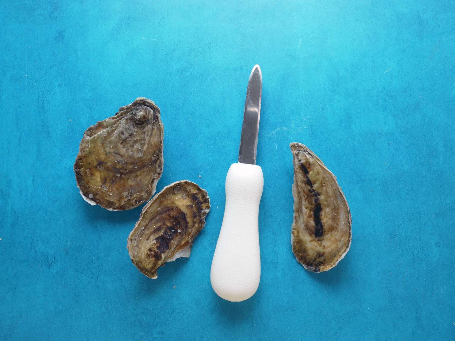 Boston style oyster knife with three oysters