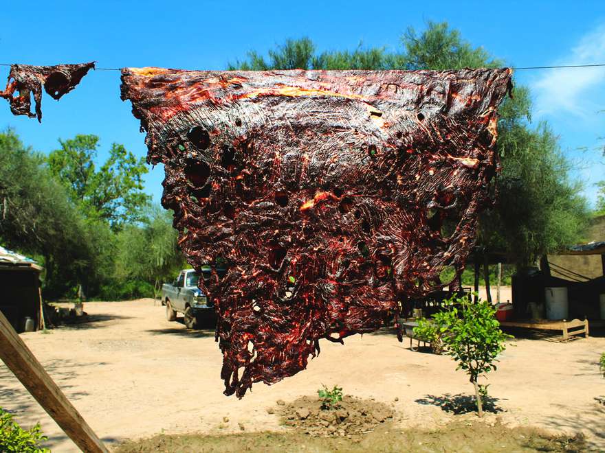 牛肉“浆”被悬挂在夏季强烈的阳光下晾干，以制作charqui