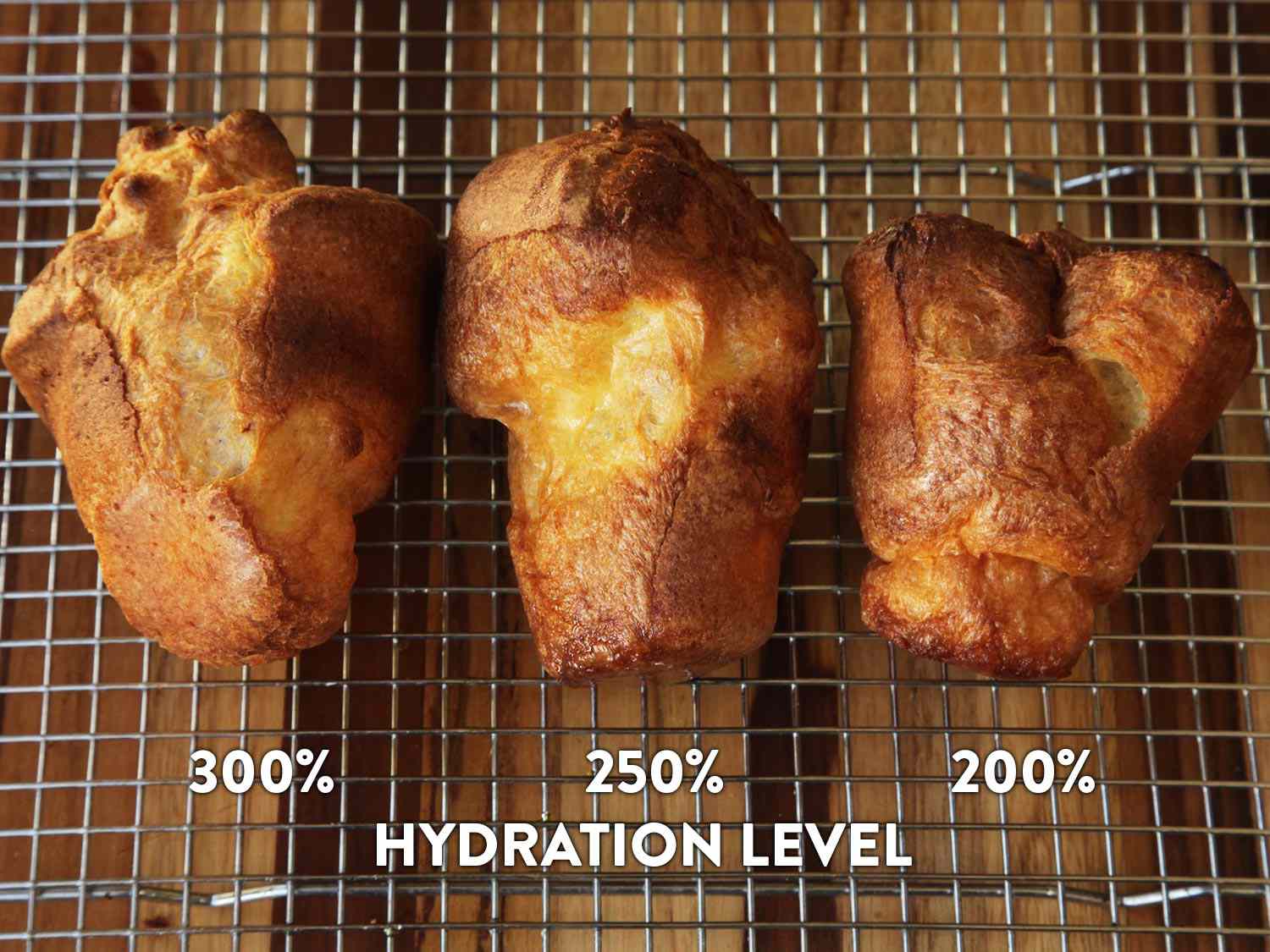 比较用300%、250%和200%水合率的面糊烹制的约克郡布丁gydF4y2Ba