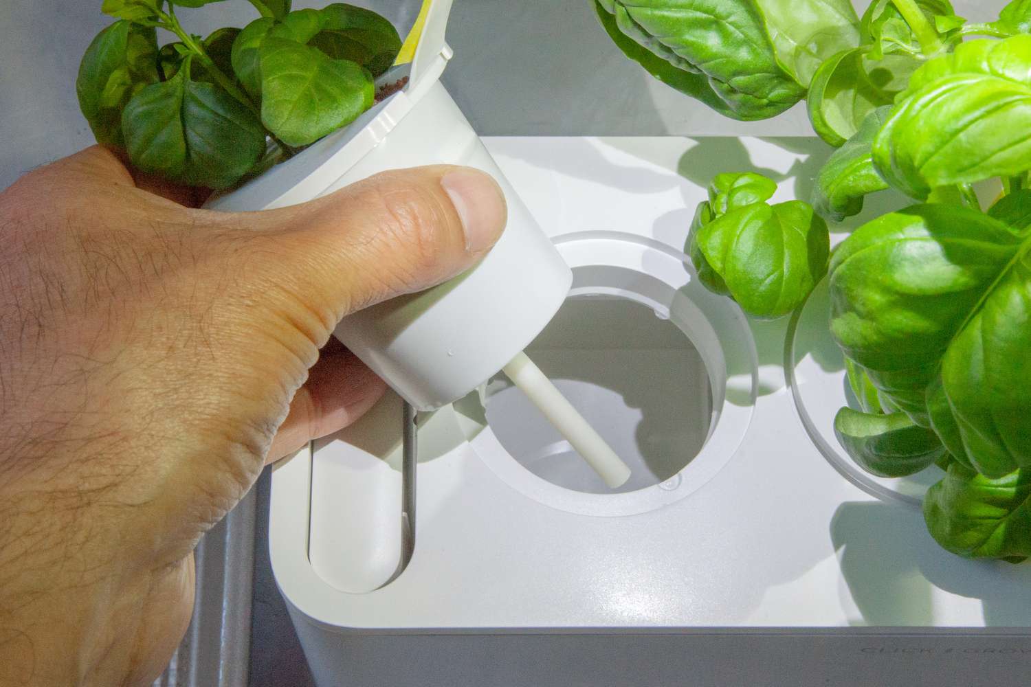 a hand removing a pod from an indoor herb garden