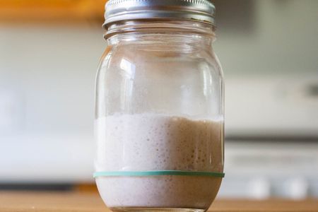 The levain used for sourdough bread rises in a glass jar, about triple its starting volume.
