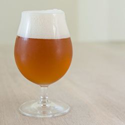 20140327 paleale2.jpg