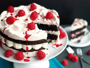 20141203-chocolate-meringue-cake-with-whipped-cream-and-raspberries-nila-jones-1.jpg