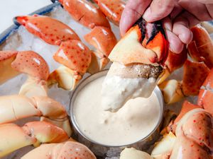 A hand dipping the meat of a stone crab claw into mustard dip