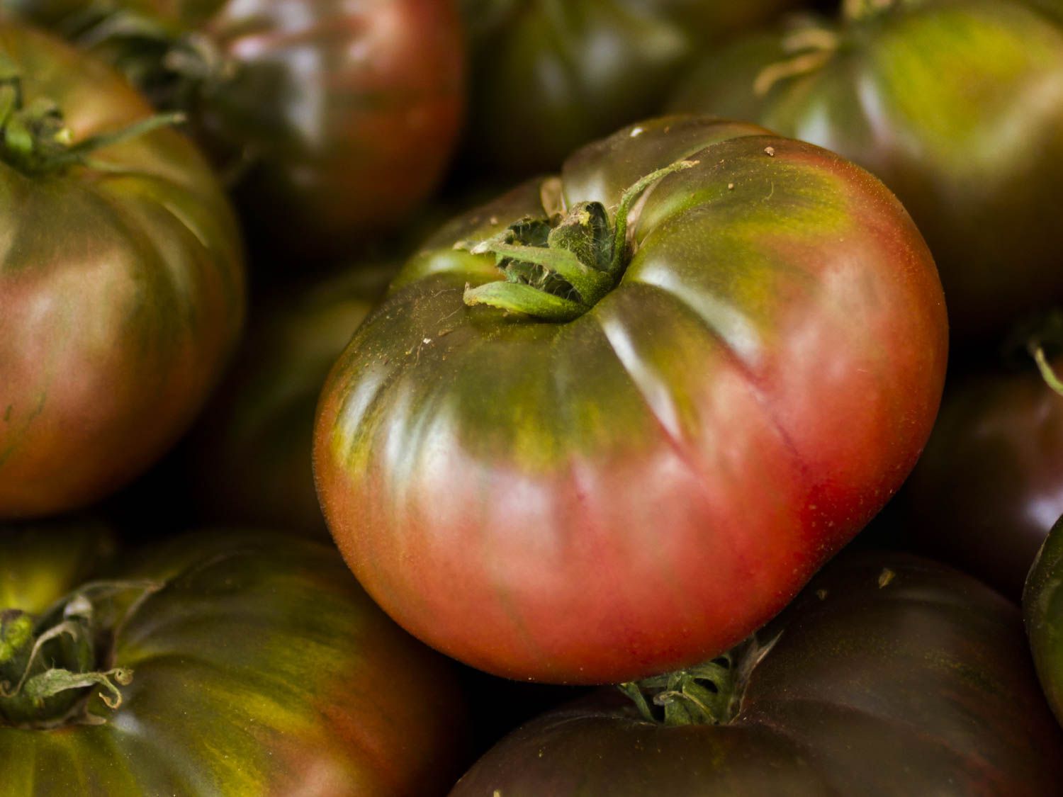 20150622-tomato-guide-cherokee-purple-shutterstock.jpg