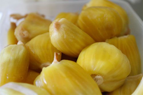 20100805——jackfruit4.jpg