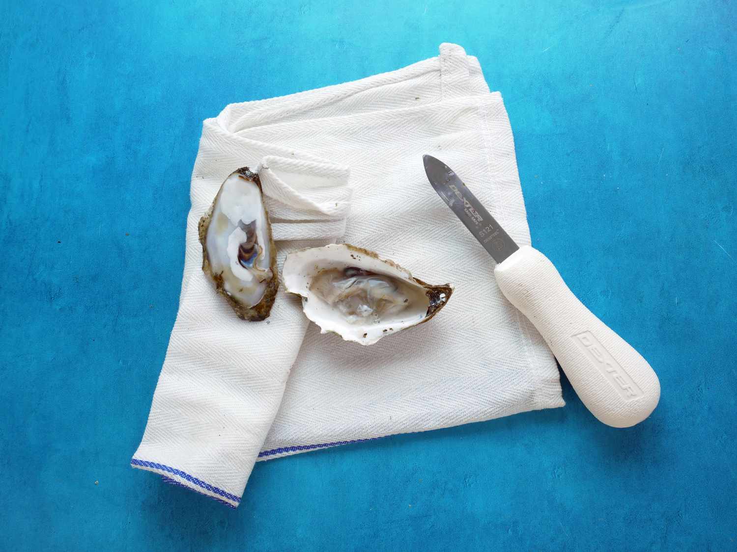 dexter russel new haven oyster knife on a folded towel with shucked oyster