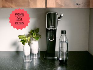 A Sodastream on a counter next to some plants and glasses