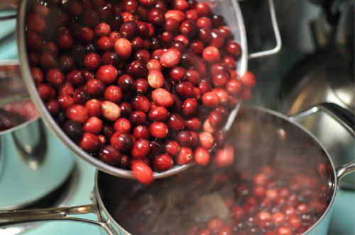 20111120 - 180434 -浇注cranberries.jpg