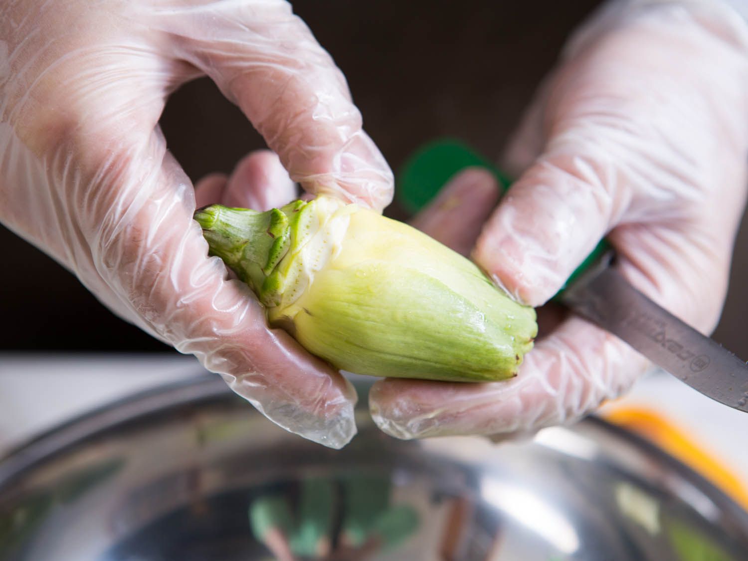 Gloved hands holding a baby artichoke with the tough, green outer leaves removed.