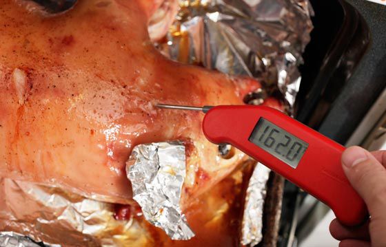 Taking temperature of a suckling pig roasting in the oven.