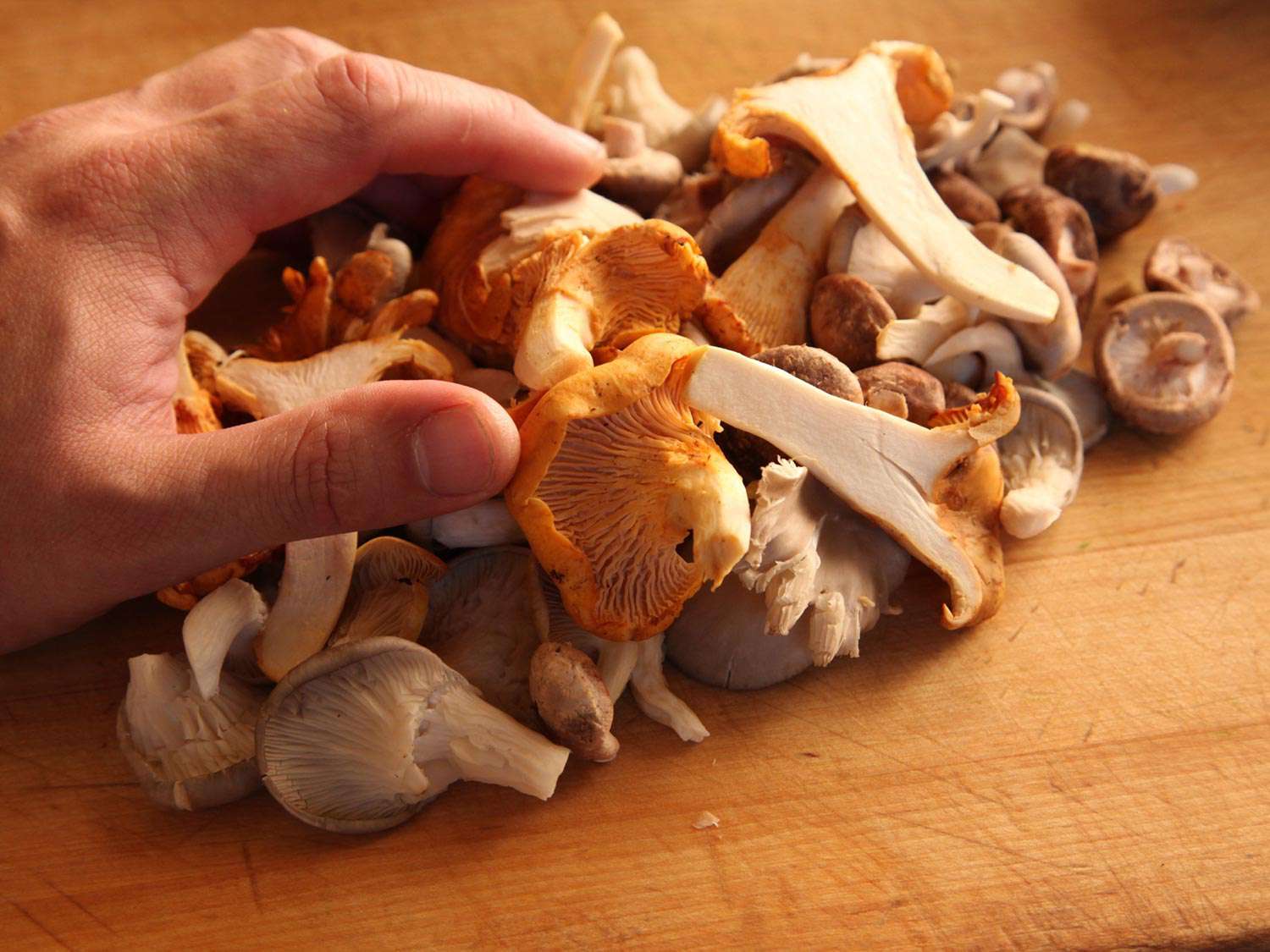 一堆为意大利调味饭准备的野生和种植的蘑菇