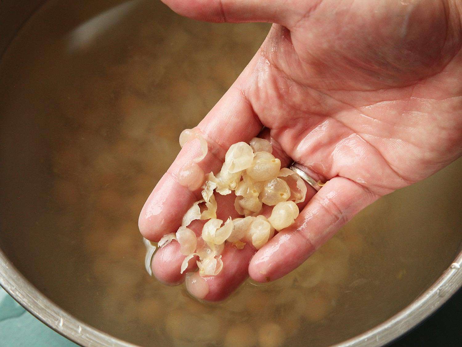 一只手拿着纸鹰嘴豆皮，上面是一碗浸泡在水里的鹰嘴豆