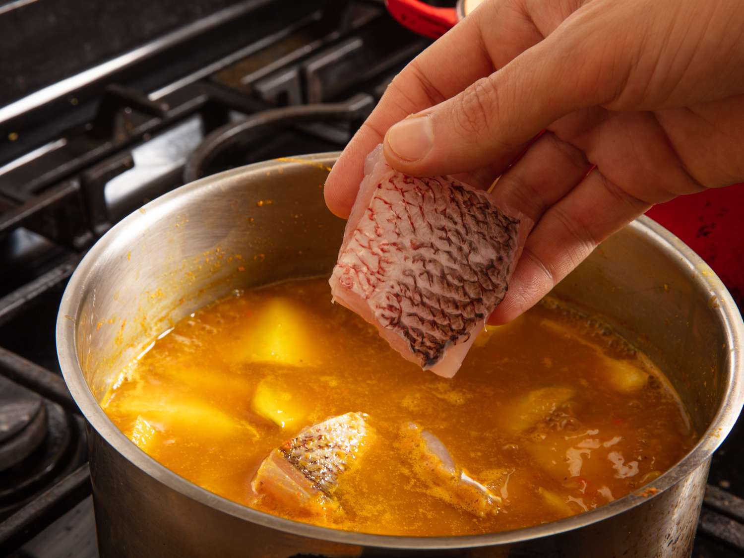 adding snapper to curry