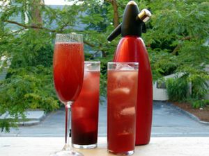 浆果灌丛和自制的苏打水，盛在有凹槽的玻璃杯中，在高脚杯中加冰，加或不加黑朗姆酒