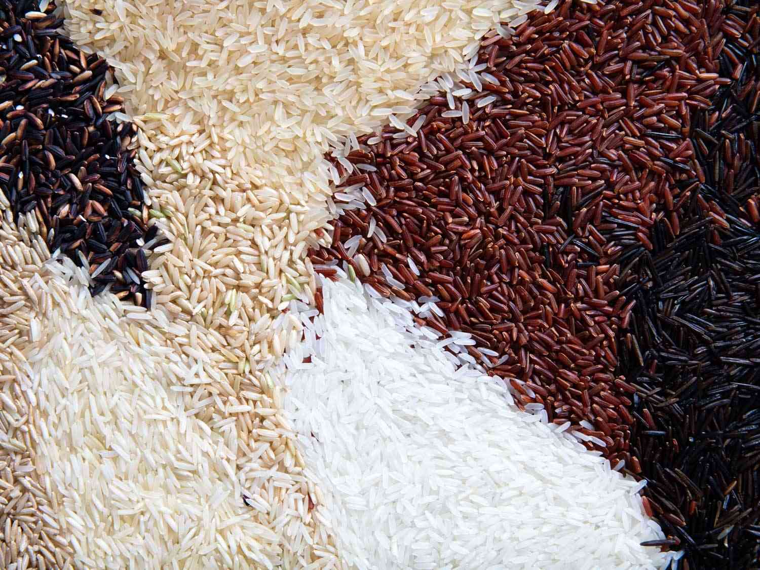 许多不同品种的水稻巧妙地铺在一个表面上