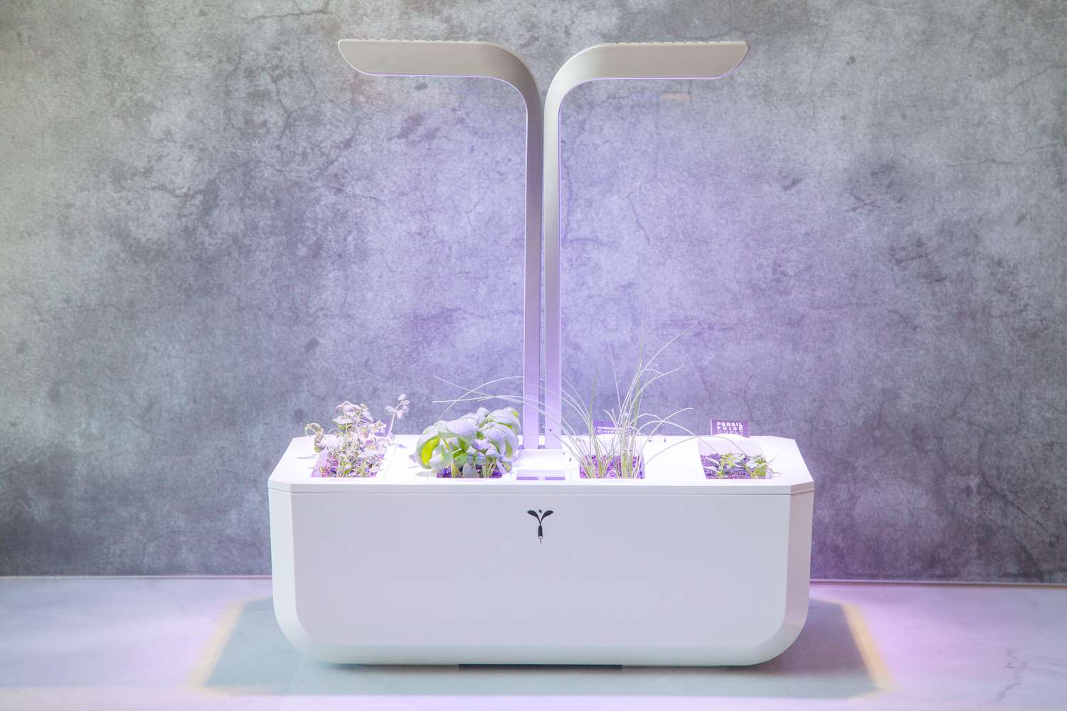 a white indoor herb garden