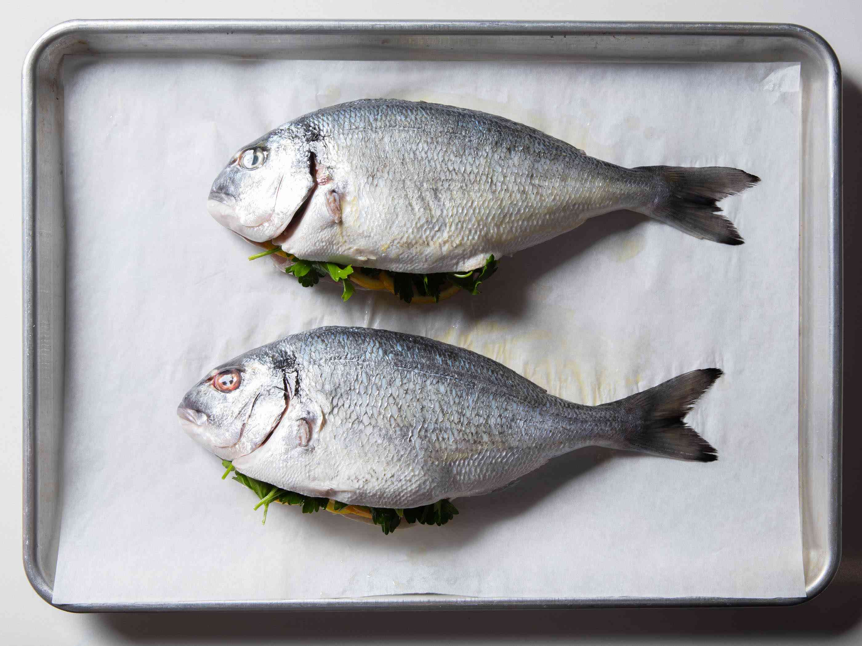 两条整鱼放在铺着羊皮纸的烤盘上，它们的腔里塞满了香草和柠檬片