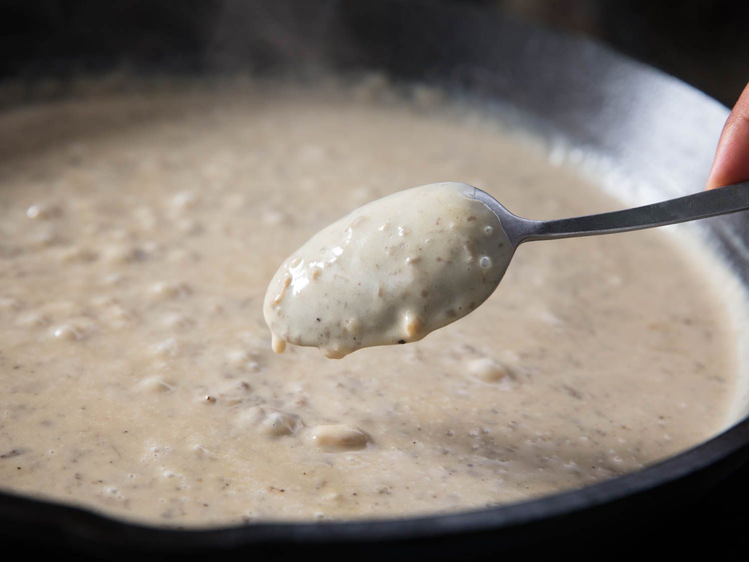 The back of a spoon coated in a homemade creamy mushroom sauce