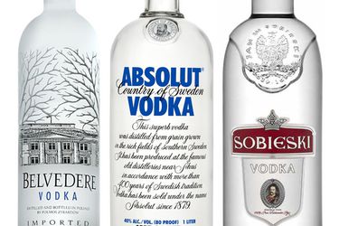 20120520 vodkaguide.jpg